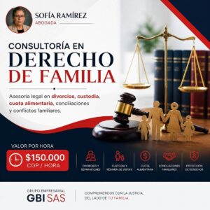 Consultoría en Derecho de Familia por Hora