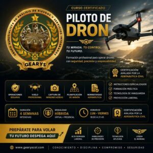Curso de Piloto Profesional